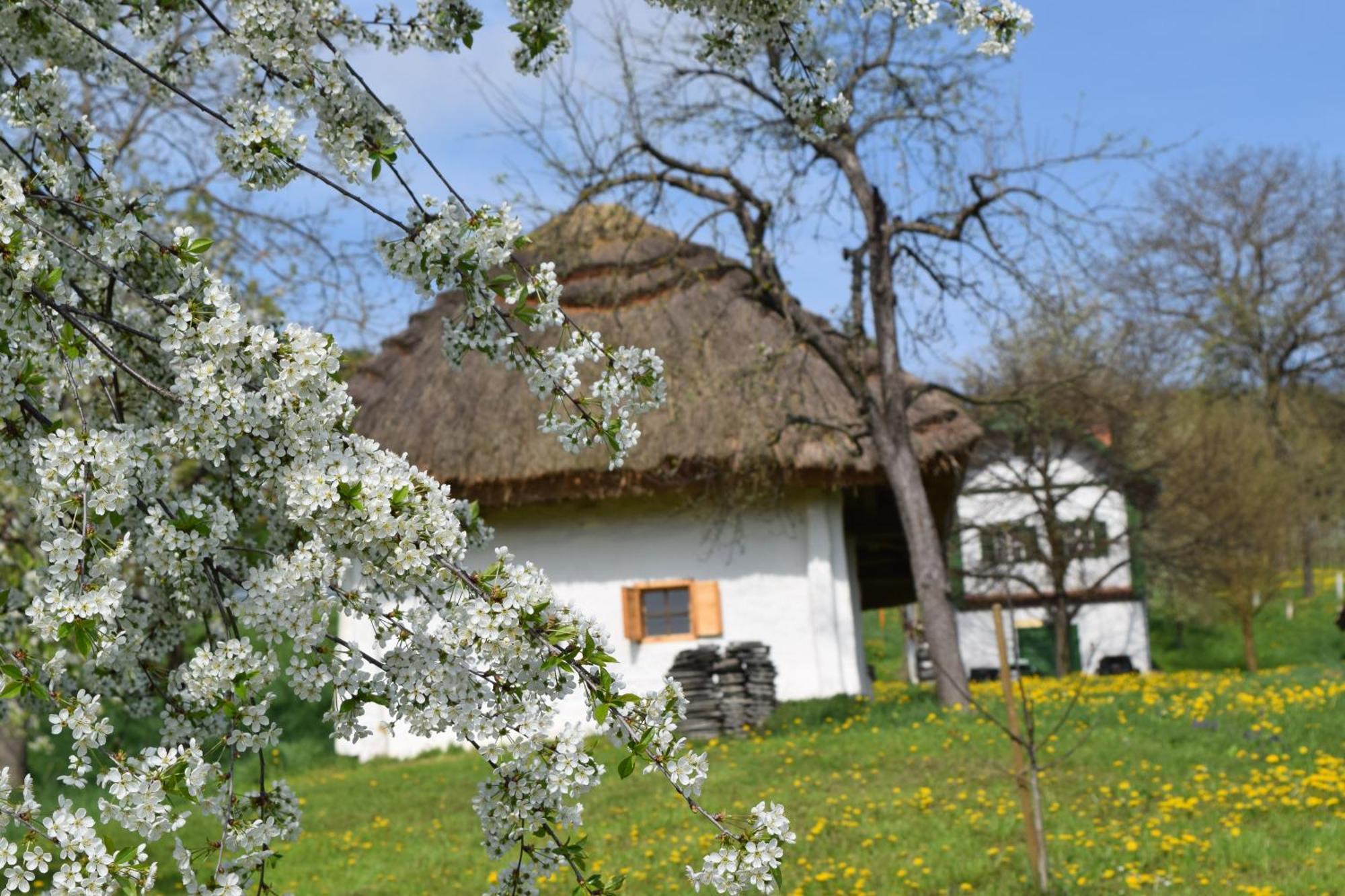 Genussgasthof & Hotel Beim Krutzler Heiligenbrunn Exterior foto